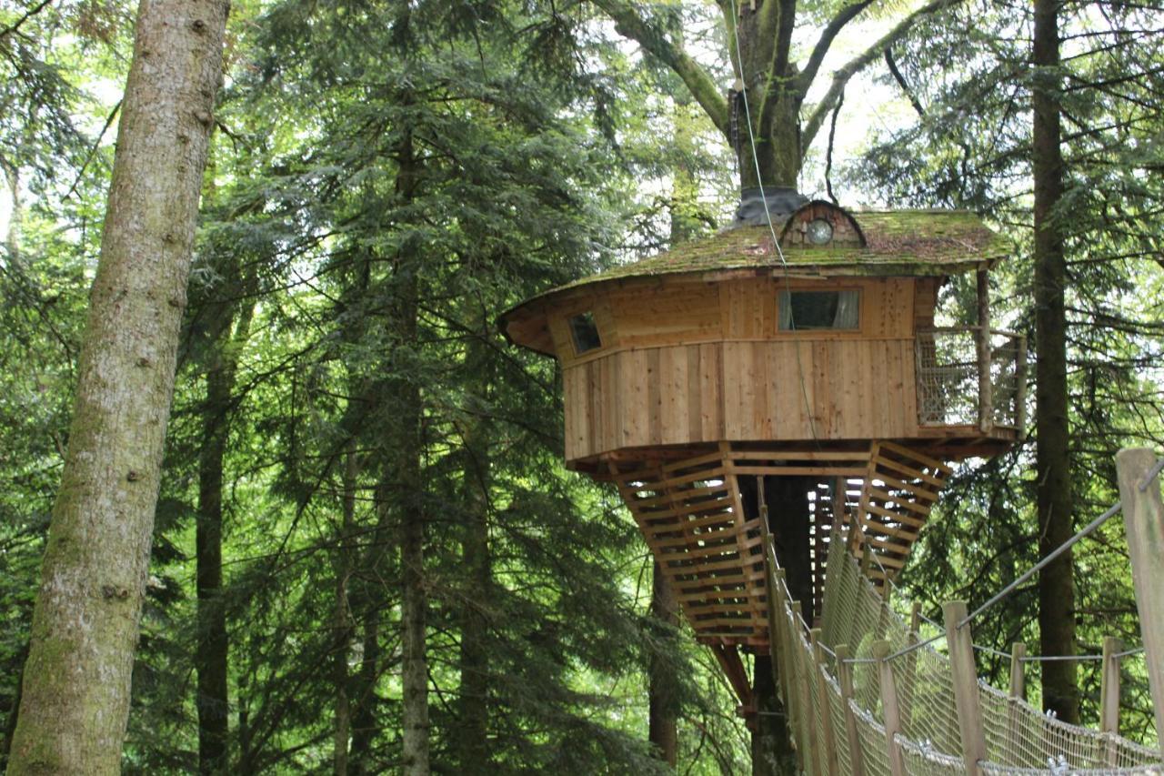 Domaine De Syam - Gites, Chambres D'Hotes & Cabanes Екстериор снимка