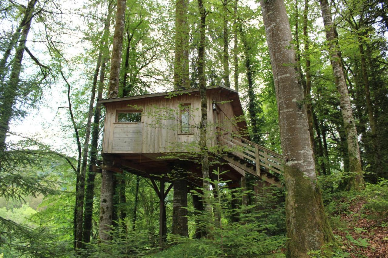Domaine De Syam - Gites, Chambres D'Hotes & Cabanes Екстериор снимка